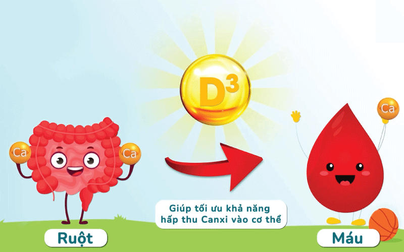 canxi osteosyl d3 có tốt không?