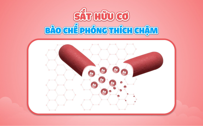 Hematoferol là thuốc gì? sắt hữu cơ ứng dụng công nghệ phóng thích chậm