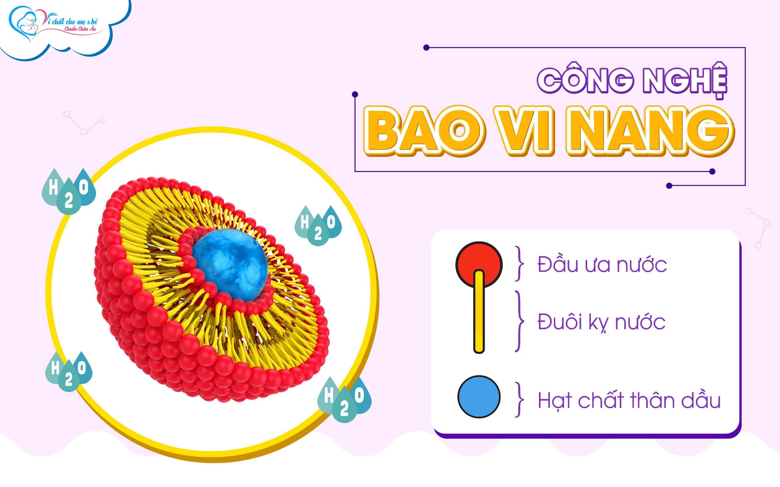 Công nghệ bao vi nang cho vitamin D3K2