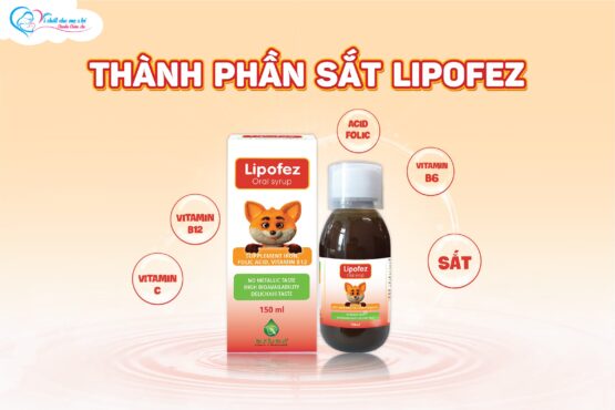 thành phần lipofez