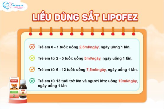 Hướng dẫn liều dùng sắt Lipofez chuẩn nhất