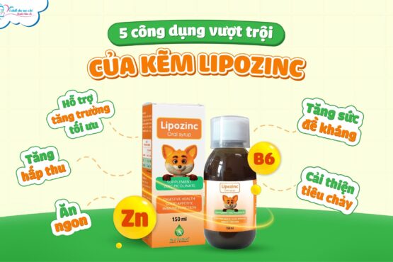 5 công dụng vượt trội của kẽm Lipozinc