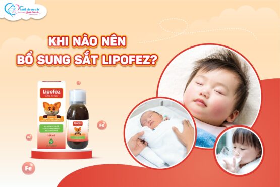 khi nào nên bổ sung sắt Lipofez