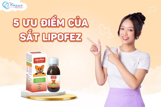 ưu điểm sắt Lipofez