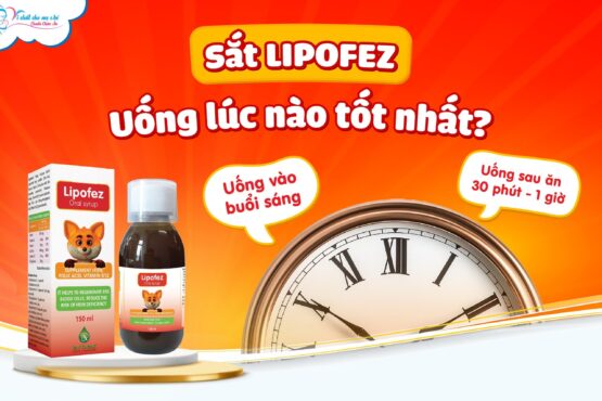 Sắt Lipofez uống lúc nào tốt nhất